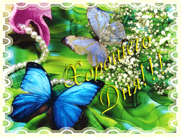 Открытка «Животное»: Хорошего Дня! Нежная открытка с бабочками и цветами. Тэги: пожелание, хорошего дня, улыбка…