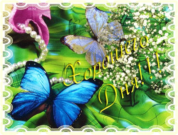 Открытка «Животное»: Хорошего Дня! Нежная открытка с бабочками и цветами. Тэги: пожелание, хорошего дня, улыбка…