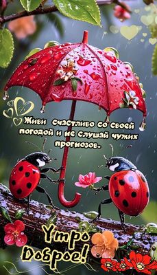 Открытка «Пожелание»: Доброе утро и живи счастливо!. Тэги: улыбка, красивая, позитив, радость, цветок, счастье…