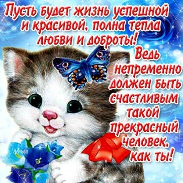 Открытка «Кот»: Пожелание счастья: милый котенок и бабочка. Тэги: животное, пожелание, улыбка, друг, подруга, красивая…