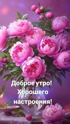 Открытка «Пожелание»: Доброе утро с нежными пионами! Отличного настроения. Тэги: улыбка, утро, красивая, позитив…