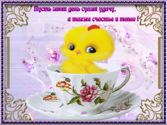 Открытка «Животное»: Милая открытка: удача, счастье и тепло на день!. Тэги: пожелание, улыбка, красивая, позитив…