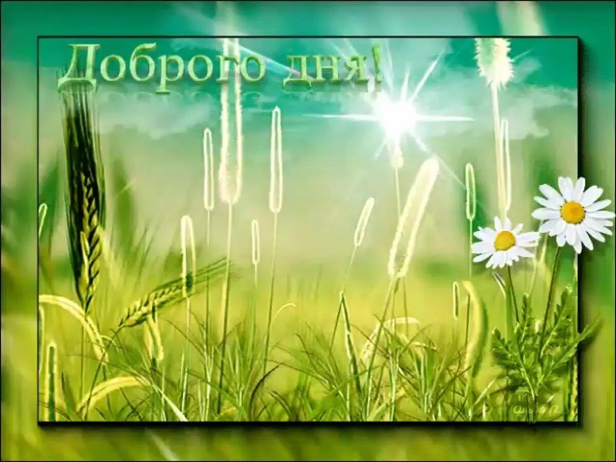 Открытка «Пожелание»: Доброго дня! Позитивная открытка с солнцем. Тэги: улыбка, красивая, позитив, радость, цветок…