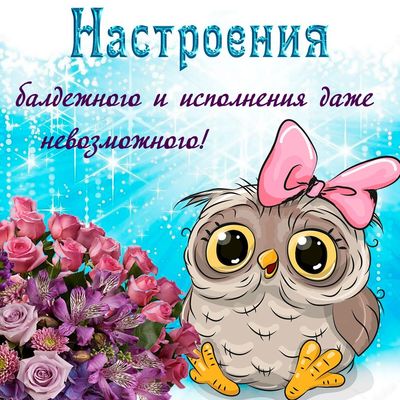 Открытка «Животное»: Настроения и исполнения невозможного! Милая сова. Тэги: пожелание, улыбка, подруга, женщина…