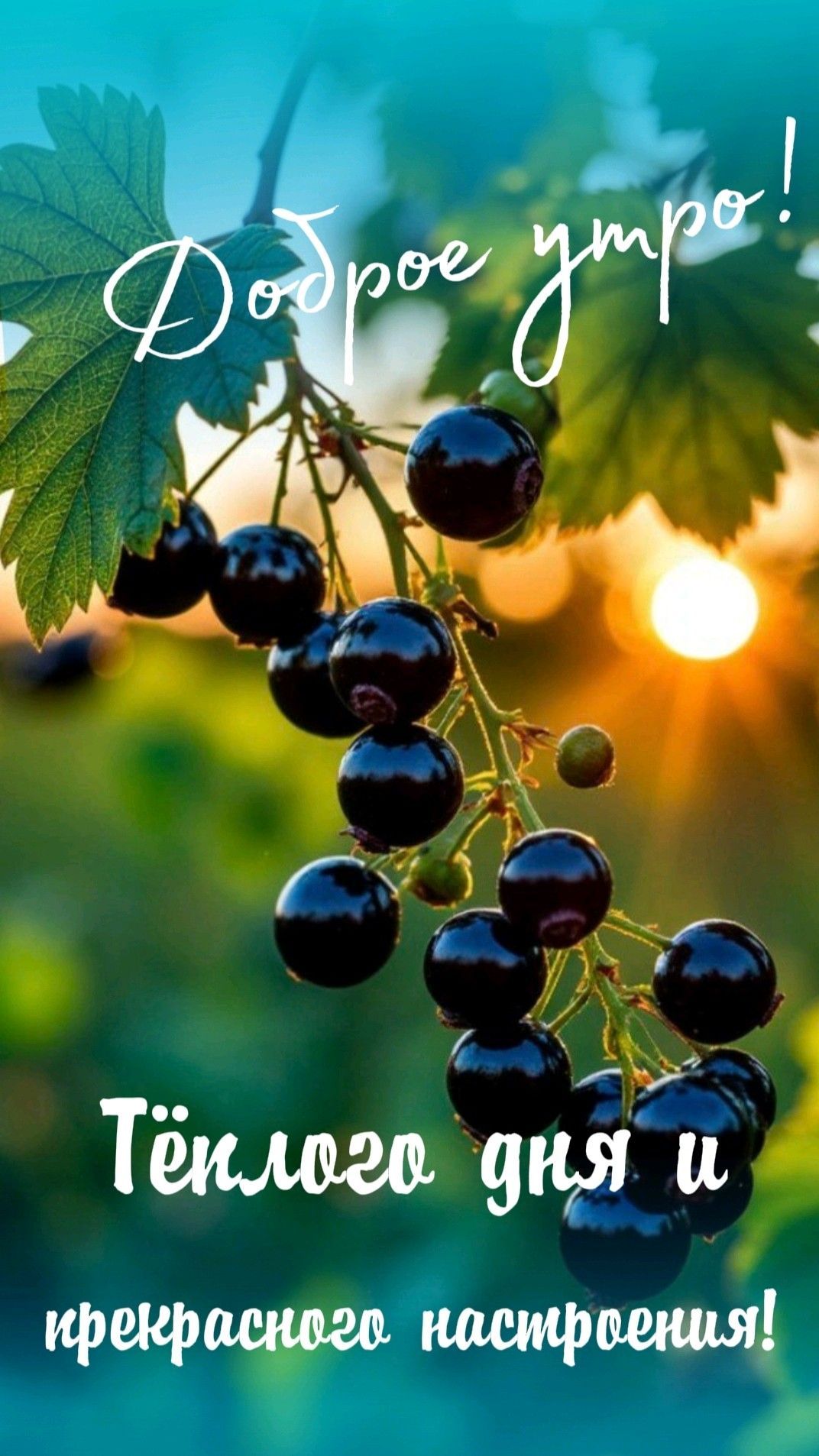 Открытка «Пожелание»: Доброе утро! Прекрасное настроение и теплый день. Тэги: улыбка, утро, красивая, позитив, радость…