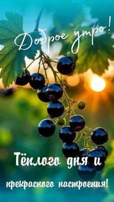 Открытка «Пожелание»: Доброе утро! Прекрасное настроение и теплый день. Тэги: улыбка, утро, красивая, позитив, радость…