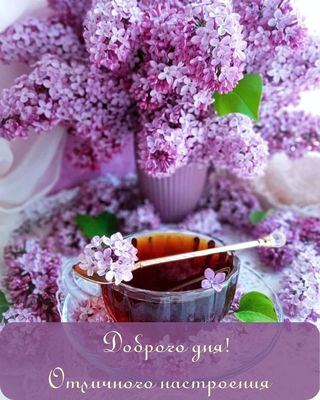 Открытка «Пожелание»: Доброго дня и отличного настроения с букетом сирени. Тэги: красивая, позитив, радость, добрый д…