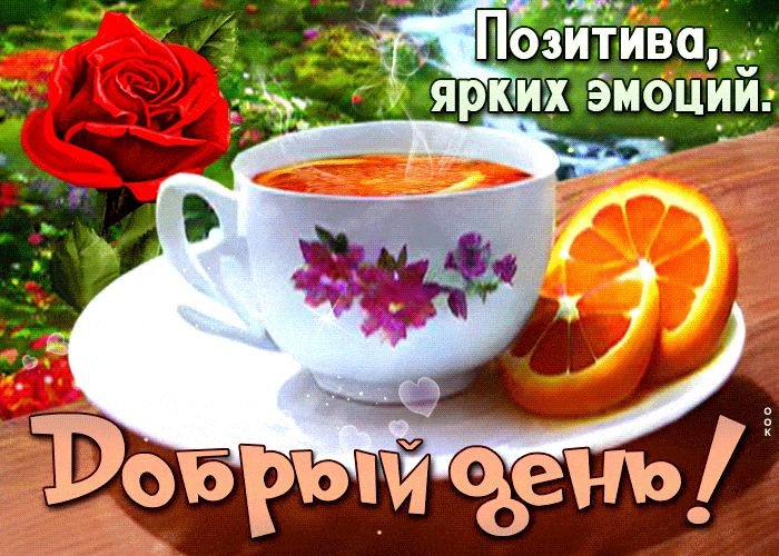 Открытка «Пожелание»: Добрый день! Позитива и ярких эмоций!. Тэги: улыбка, красивая, позитив, радость, добрый день…