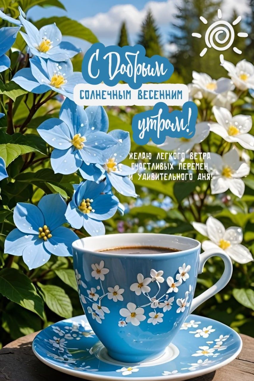 Открытка «Пожелание»: Солнечное весеннее утро! Открытка с пожеланием. Тэги: утро, красивая, кофе, позитив, радость…