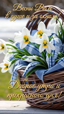 Открытка «Пожелание»: Доброе утро и прекрасного дня с весенними цветами. Тэги: красивая, позитив, радость, цветок…