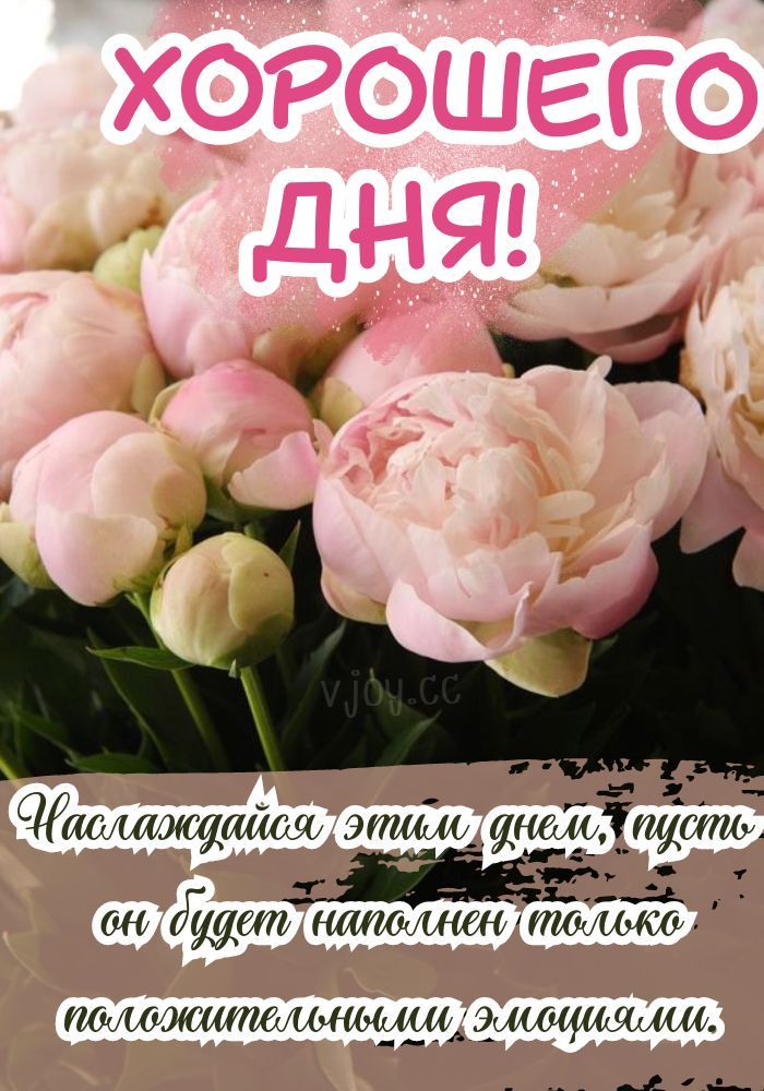 Открытка «Пожелание»: Хорошего Дня с нежными пионами – Открытка-пожелание. Тэги: улыбка, красивая, позитив, радость…