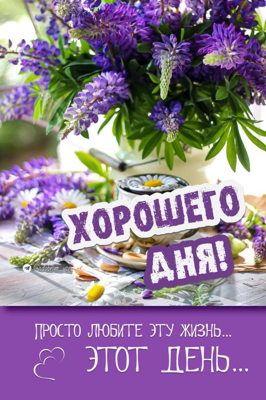 Открытка «Пожелание»: Хорошего дня! Красивая открытка с весенними цветами. Тэги: хорошего дня, улыбка, красивая…