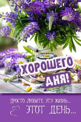 Открытка «Пожелание»: Хорошего дня! Красивая открытка с весенними цветами. Тэги: хорошего дня, улыбка, красивая…