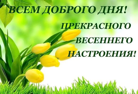 Открытка «Пожелание»: Доброго дня и весеннего настроения. Тэги: улыбка, друг, подруга, мужчина, женщина, красивая…