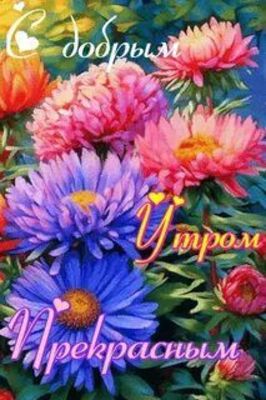 Открытка «Пожелание»: Открытка С Добрым Утром: Яркие Цветы и Позитив. Тэги: улыбка, утро, красивая, позитив, радость…
