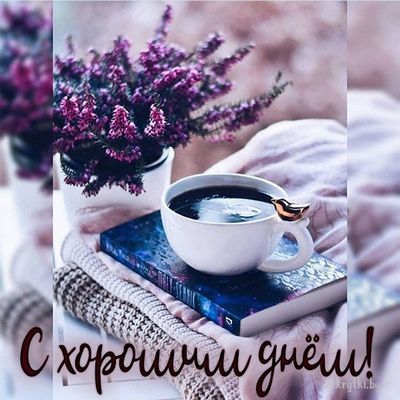 Открытка «Пожелание»: С хорошим днём! Красивая уютная открытка. Тэги: утро, красивая, кофе, позитив, радость, цветок…