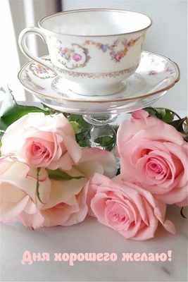 Открытка «Пожелание»: Дня хорошего желаю! Нежная открытка с розами и чашкой. Тэги: улыбка, утро, красивая, позитив…