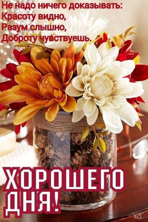 Открытка «Пожелание»: Хорошего дня! Красивое пожелание и цветы. Тэги: хорошего дня, позитив, радость, цветок, осень…