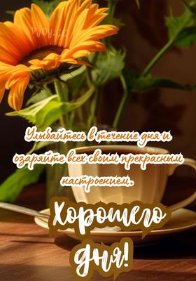Открытка «Пожелание»: Хорошего дня! Позитив и прекрасное настроение. Тэги: улыбка, утро, красивая, кофе, позитив…