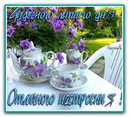 Открытка «Пожелание»: Чудесного летнего дня и отличного настроения!. Тэги: красивая, позитив, радость, цветок, стол…