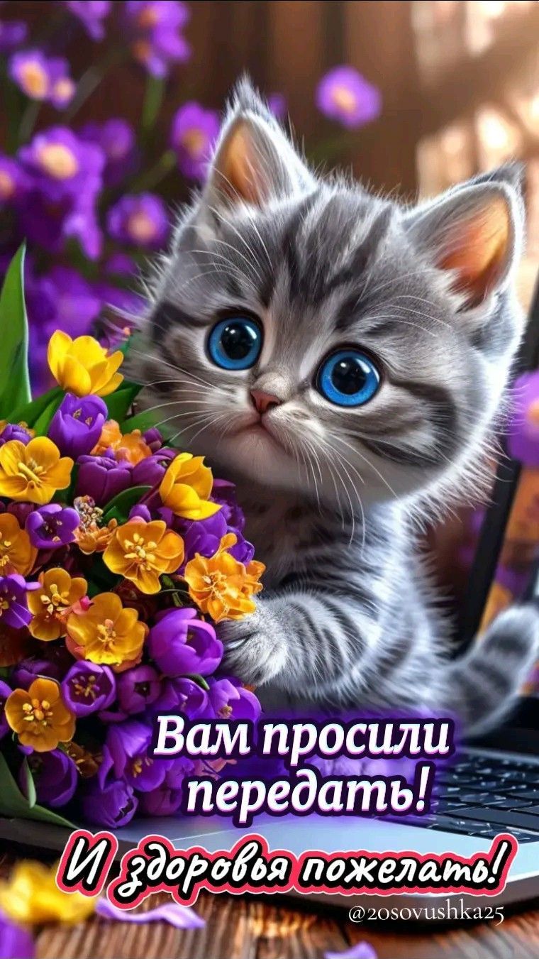 Открытка «Животное»: Милый котенок с цветами: Вам просили здоровья пожелать!. Тэги: пожелание, улыбка, друг, подруга…