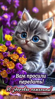 Открытка «Животное»: Милый котенок с цветами: Вам просили здоровья пожелать!. Тэги: пожелание, улыбка, друг, подруга…