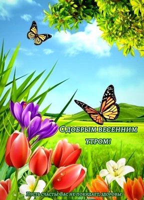 Открытка «Животное»: С добрым весенним утром! Пожелание счастья. Тэги: пожелание, красивая, позитив, радость, цветок…