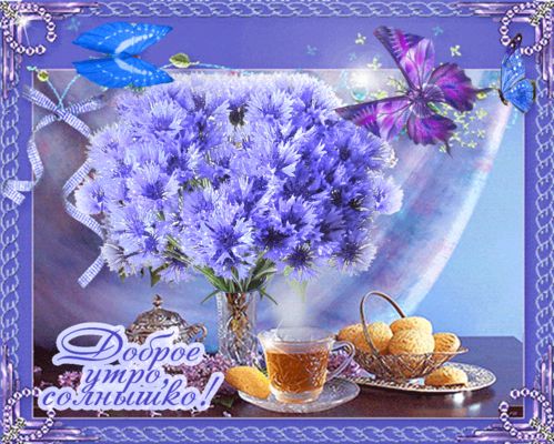 Открытка «Пожелание»: Доброе утро, солнышко! Нежная открытка с цветами. Тэги: утро, красивая, позитив, радость, цветок…