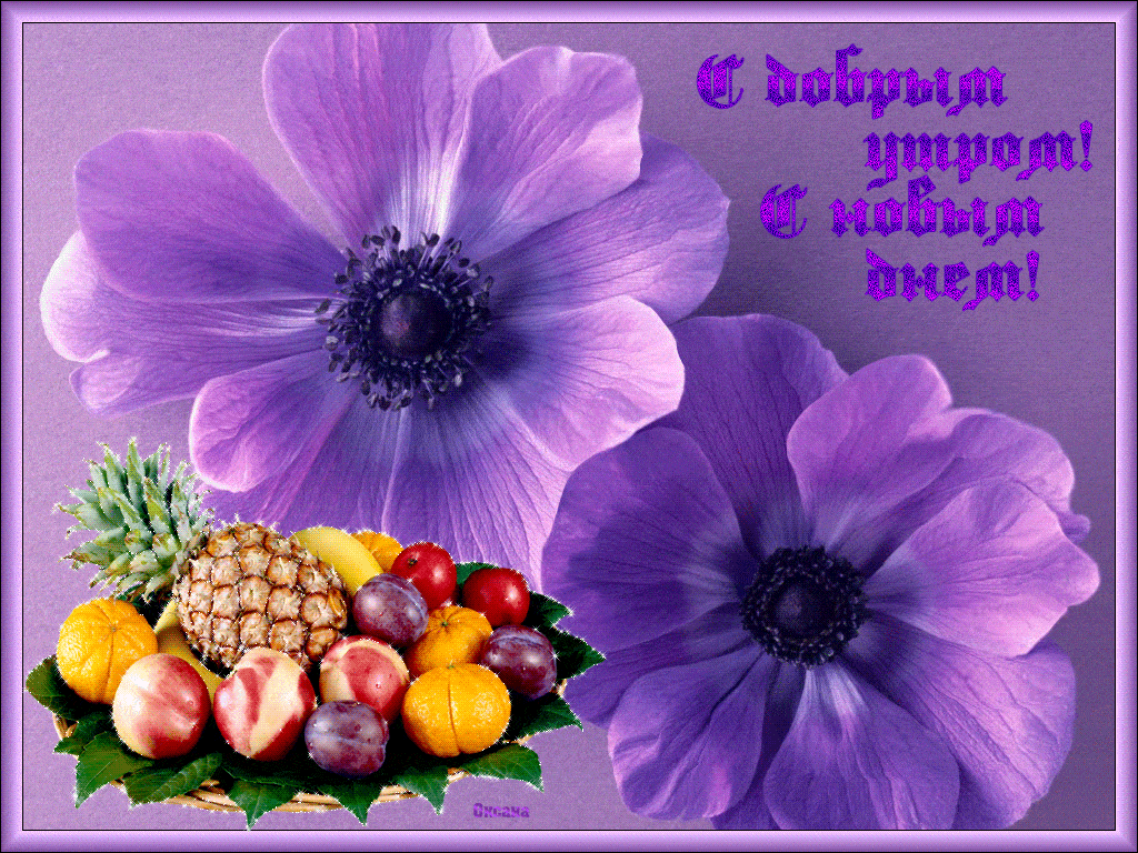 Открытка «Пожелание»: С добрым утром! Новый день с цветами и фруктами. Тэги: позитив, радость, цветок, настроение…
