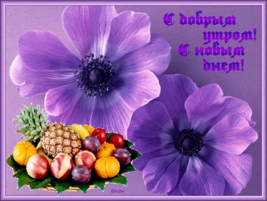 Открытка «Пожелание»: С добрым утром! Новый день с цветами и фруктами. Тэги: позитив, радость, цветок, настроение…