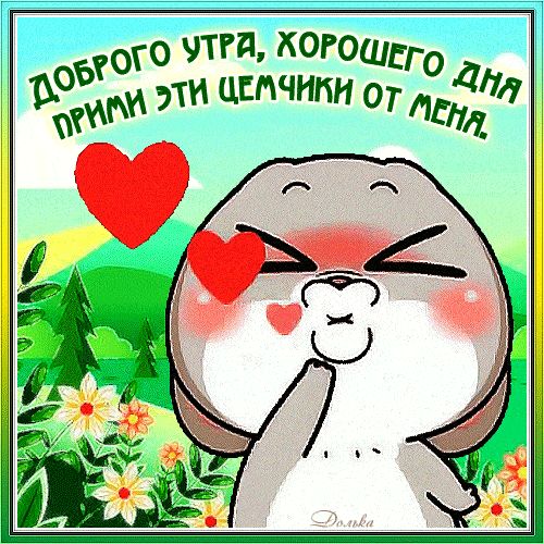 Открытка «Животное»: Доброе утро: милые цемчики для хорошего дня. Тэги: пожелание, прикольная, улыбка, утро, позитив…