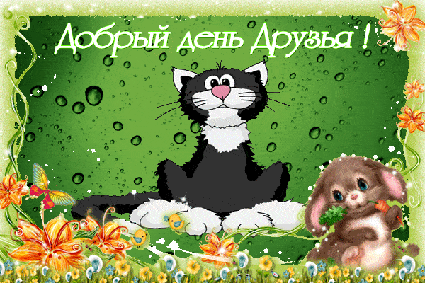Открытка «Кот»: Добрый день Друзья! Милый кот и зайчик для хорошего дня. Тэги: животное, улыбка, друг, позитив…