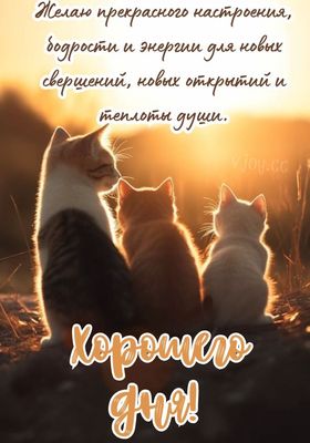 Открытка «Кот»: Прекрасного настроения и хорошего дня! Милые котята. Тэги: животное, пожелание, позитив, энергия…