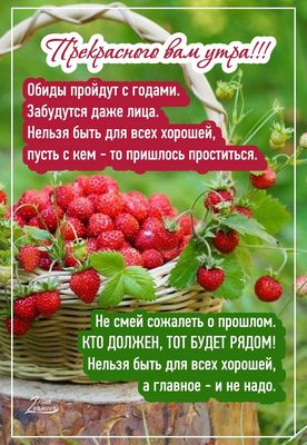 Открытка «Пожелание»: Прекрасного утра! Мудрое пожелание на каждый день. Тэги: улыбка, красивая, позитив, радость…