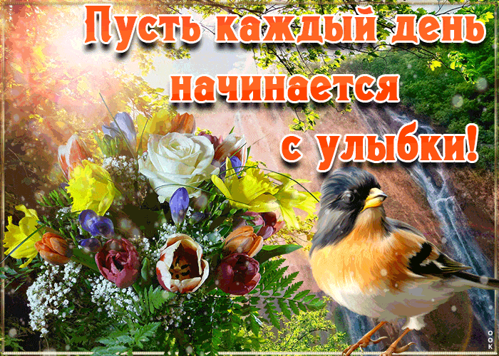 Открытка «Животное»: Пусть день начинается с улыбки! Позитивная открытка. Тэги: пожелание, улыбка, утро, красивая…