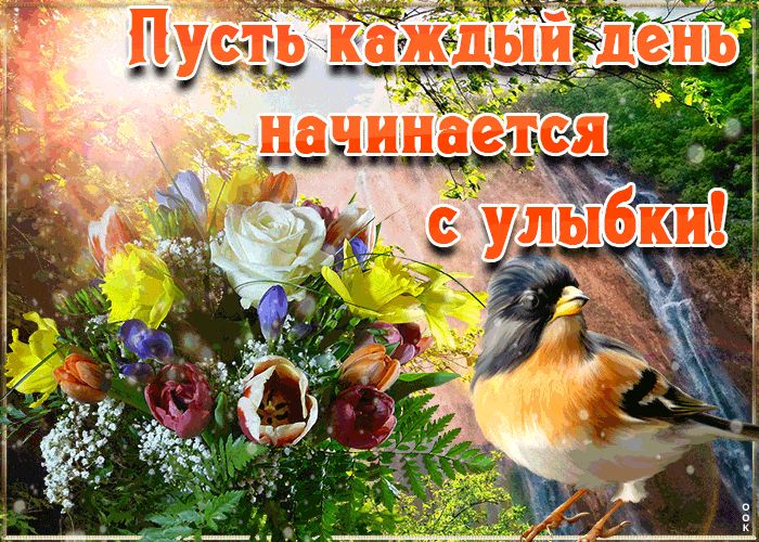 Открытка «Животное»: Пусть день начинается с улыбки! Позитивная открытка. Тэги: пожелание, улыбка, утро, красивая…