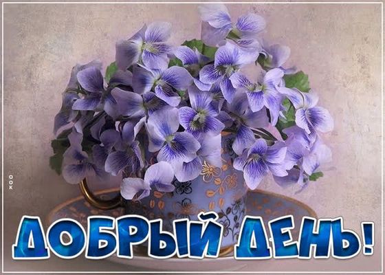 Открытка «Пожелание»: Добрый день! Красивые цветы для позитивного дня. Тэги: красивая, позитив, радость, цветок, чашка…