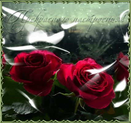 Открытка «Пожелание»: Прекрасного настроения! Красивая открытка с розами. Тэги: улыбка, красивая, позитив, радость…