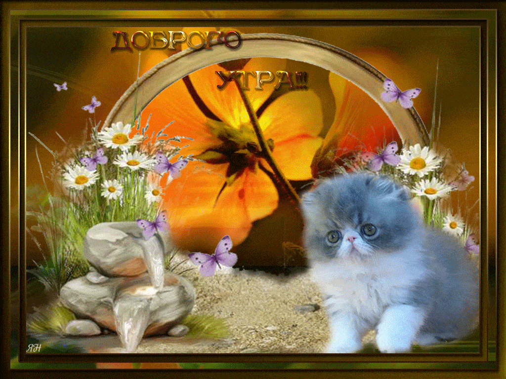 Открытка «Животное»: Доброе утро: милый котенок и нежное пожелание. Тэги: пожелание, улыбка, утро, красивая, позитив…