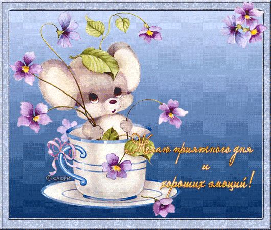 Открытка «Животное»: Милая открытка: приятного дня и хороших эмоций!. Тэги: пожелание, улыбка, позитив, радость…