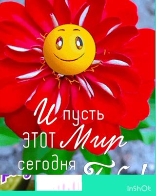Открытка «Пожелание»: Пусть этот Мир сегодня: яркая открытка с цветком. Тэги: улыбка, красивая, позитив, радость…
