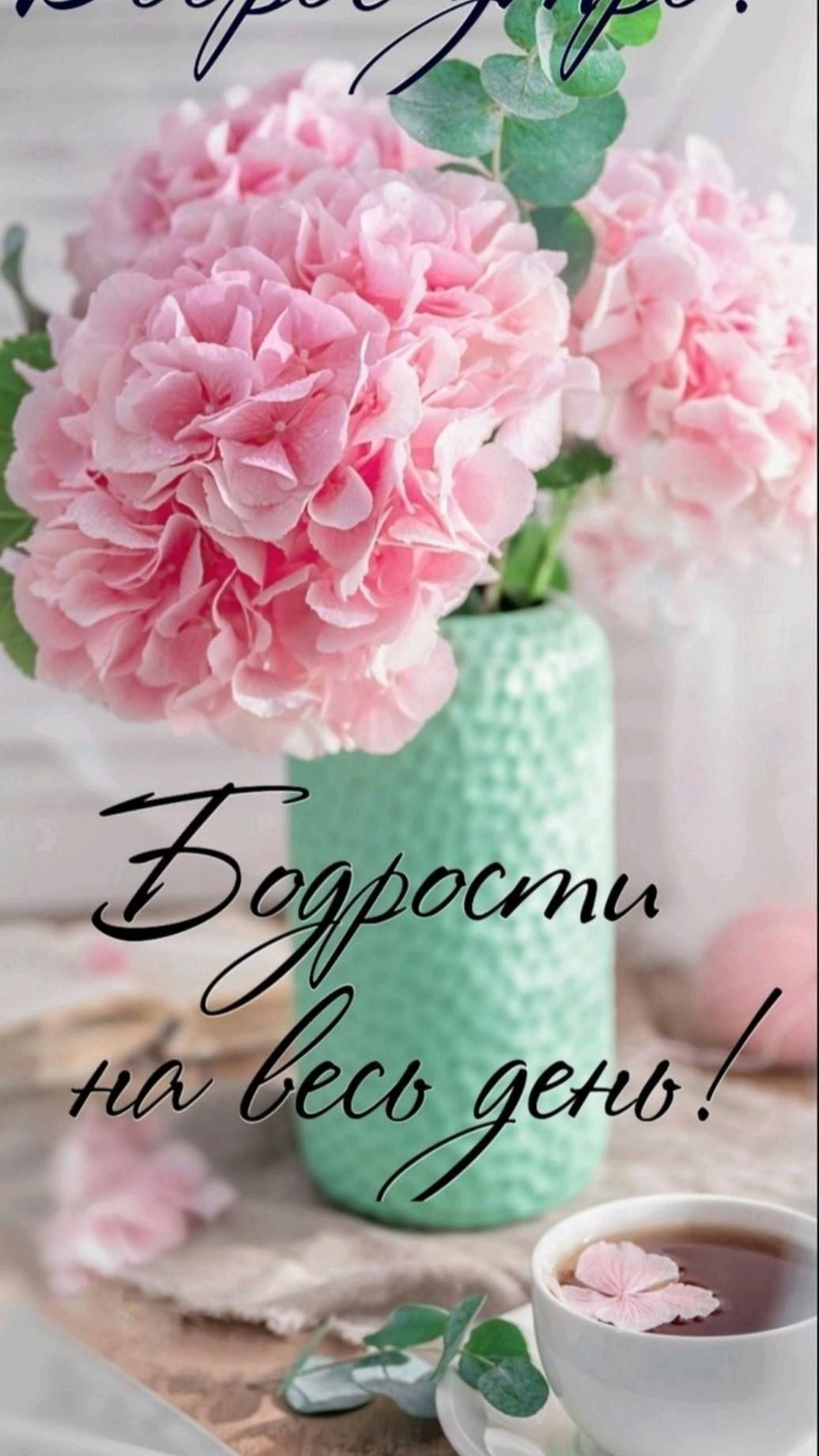 Открытка «Пожелание»: Бодрости на весь день! Нежная открытка с цветами. Тэги: утро, красивая, позитив, радость, цветок…