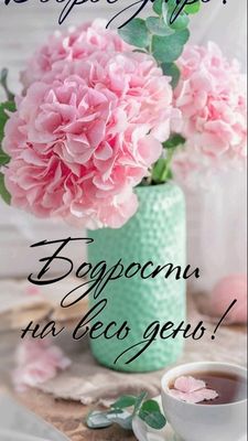Открытка «Пожелание»: Бодрости на весь день! Нежная открытка с цветами. Тэги: утро, красивая, позитив, радость, цветок…