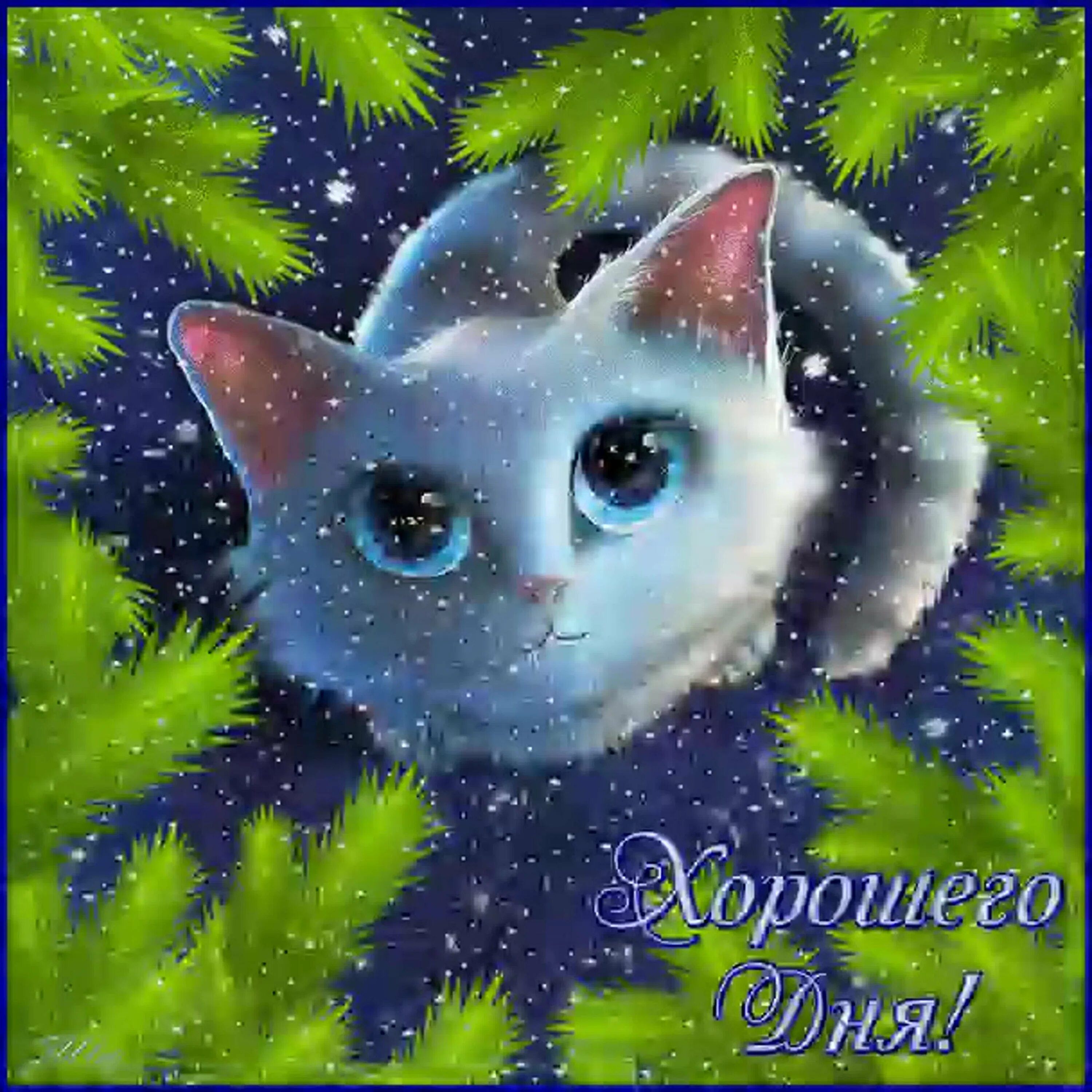 Открытка «Кот»: Хорошего Дня! Милая открытка с пушистым котом. Тэги: животное, пожелание, улыбка, красивая, позитив…