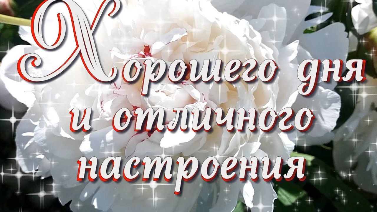 Открытка «Пожелание»: Хорошего дня и отличного настроения! Открытка с пионом. Тэги: улыбка, красивая, позитив, радость…