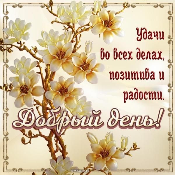 Открытка «Пожелание»: Добрый день! Удачи, позитива и радости – красивая открытка. Тэги: красивая, позитив, радость…
