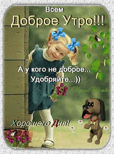 Открытка «Животное»: Позитивное Доброе Утро и Хорошего Дня с улыбкой. Тэги: пожелание, юмор, прикольная, смешная…
