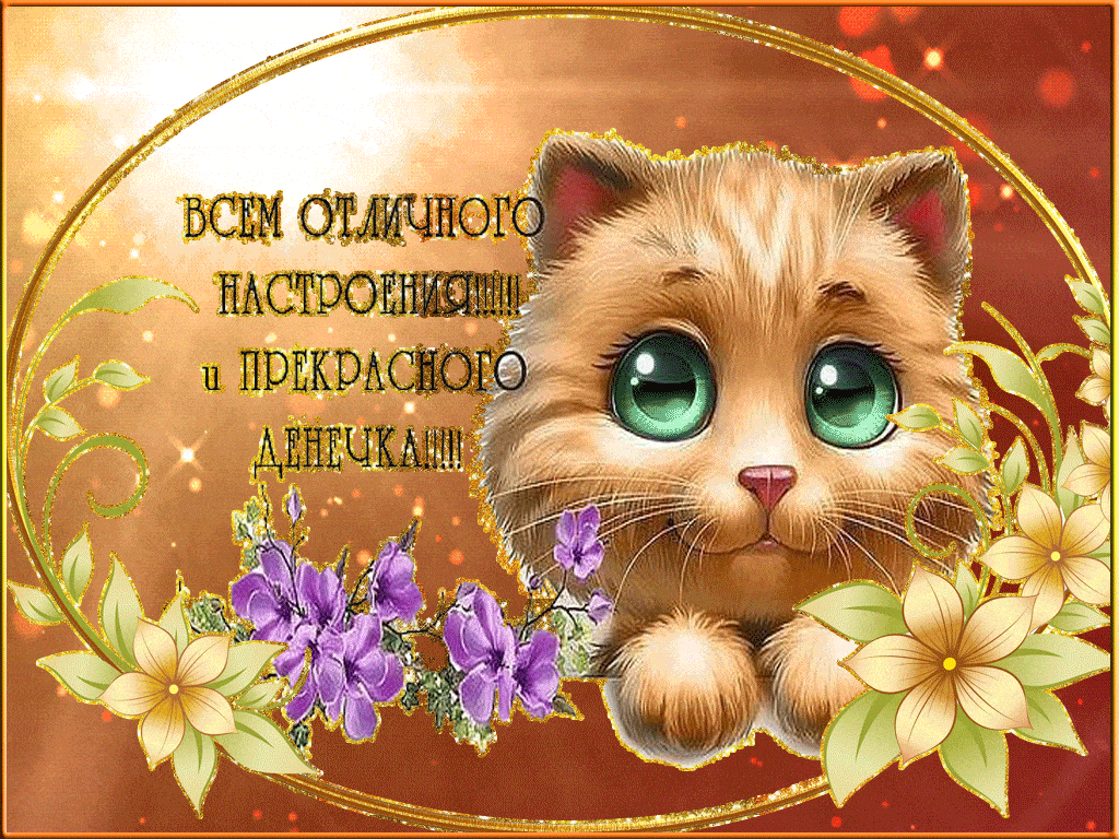 Открытка «Кот»: Отличного настроения и прекрасного дня с милым котом!. Тэги: животное, пожелание, улыбка, друг…