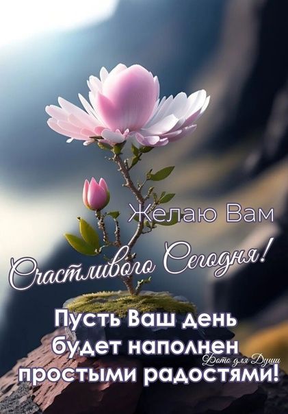 Открытка «Пожелание»: Счастливого Сегодня! Пожелание радости и позитива. Тэги: улыбка, красивая, позитив, радость…