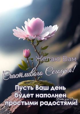 Открытка «Пожелание»: Счастливого Сегодня! Пожелание радости и позитива. Тэги: улыбка, красивая, позитив, радость…
